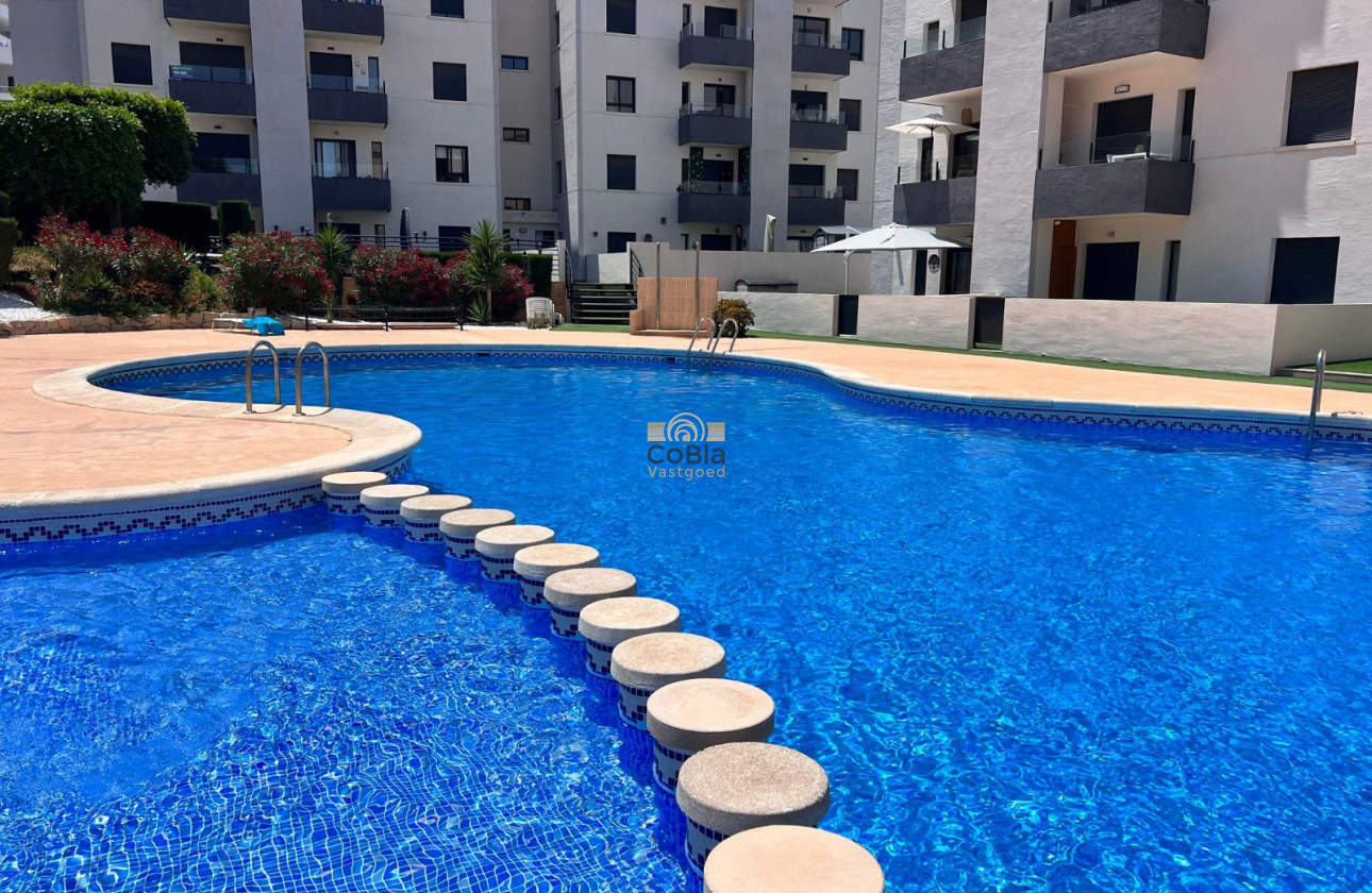 Herverkoop - Apartment flat - San Miguel de Salinas - San Miguel Salinas
