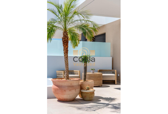 Nieuwbouw Woningen - Villa - Dolores - Sector 3