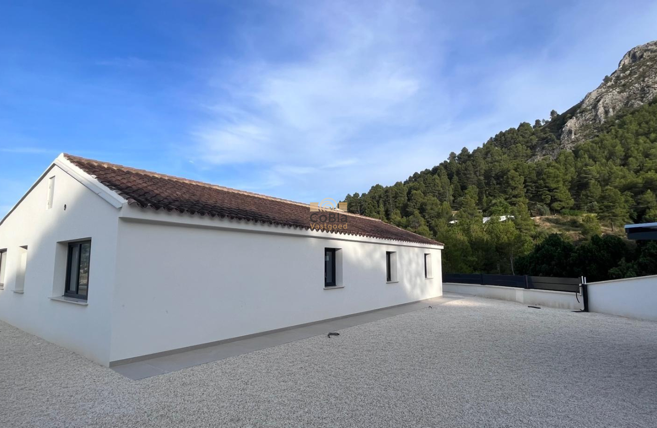 Nouvelle construction - Villa - Penaguila - El Olivar
