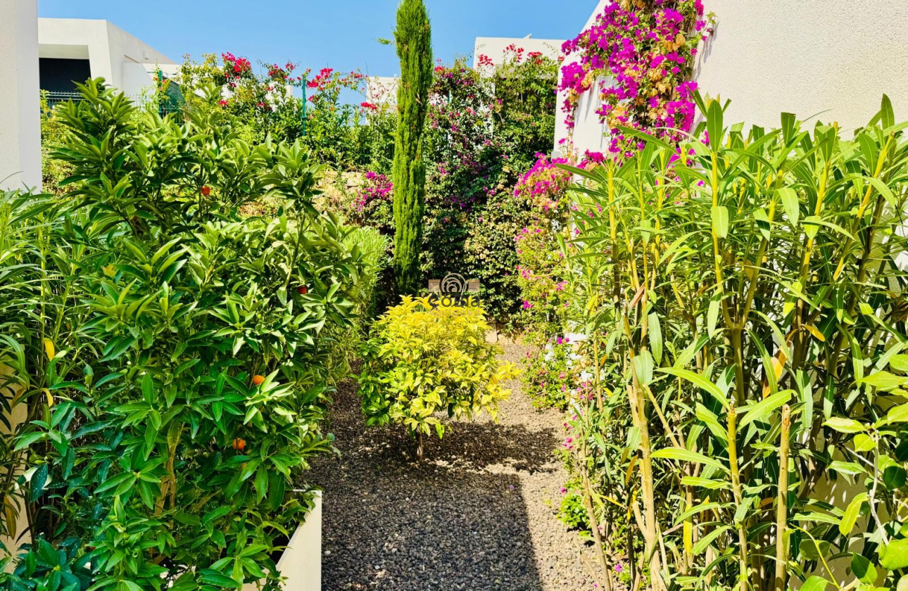 Herverkoop - Villa - Algorfa - La finca Golf