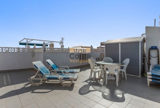 Wiederverkauf - Bungalow - Torrevieja - El chaparral