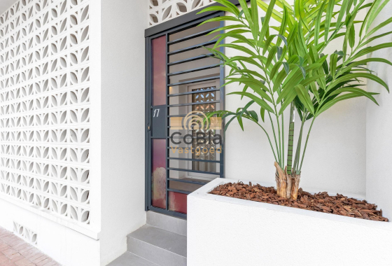 Nouvelle construction - Apartment - Torrevieja - Playa Los Naufragos