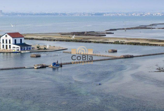 Nieuwbouw Woningen - Villa - San Pedro del Pinatar - Center