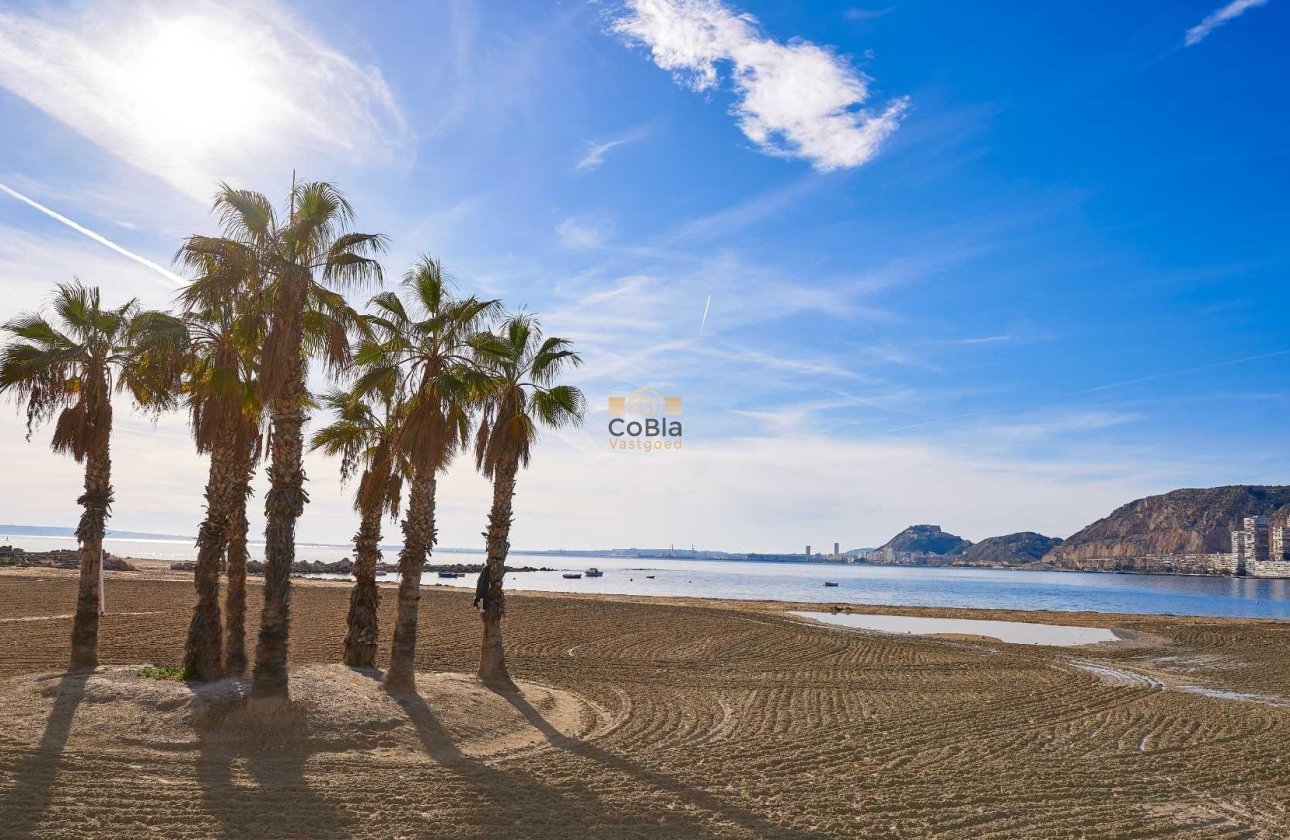 Nieuwbouw Woningen - Villa - Els Poblets - Partida Barranquets