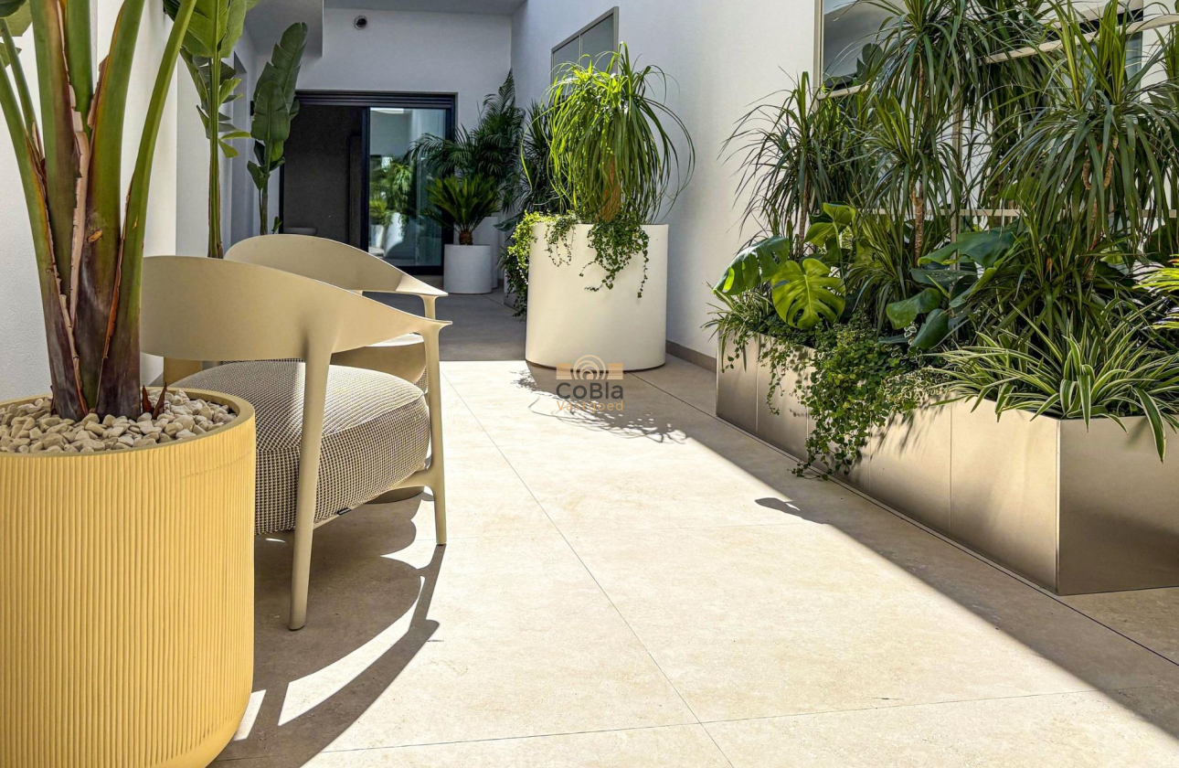 New Build - Villa - Rojales - Ciudad Quesada