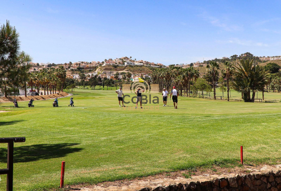 New Build - Villa - Rojales - Ciudad Quesada