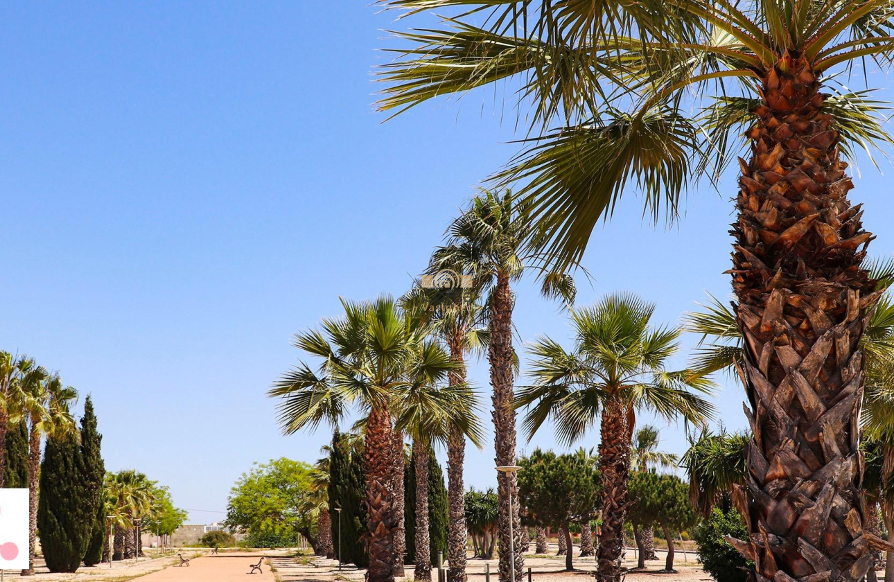 Nieuwbouw Woningen - Villa - San Fulgencio - La Escuera