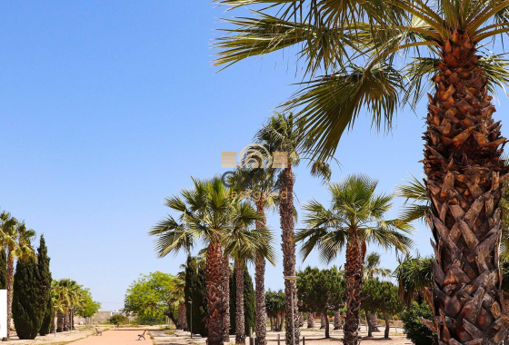 Nieuwbouw Woningen - Villa - San Fulgencio - La Escuera