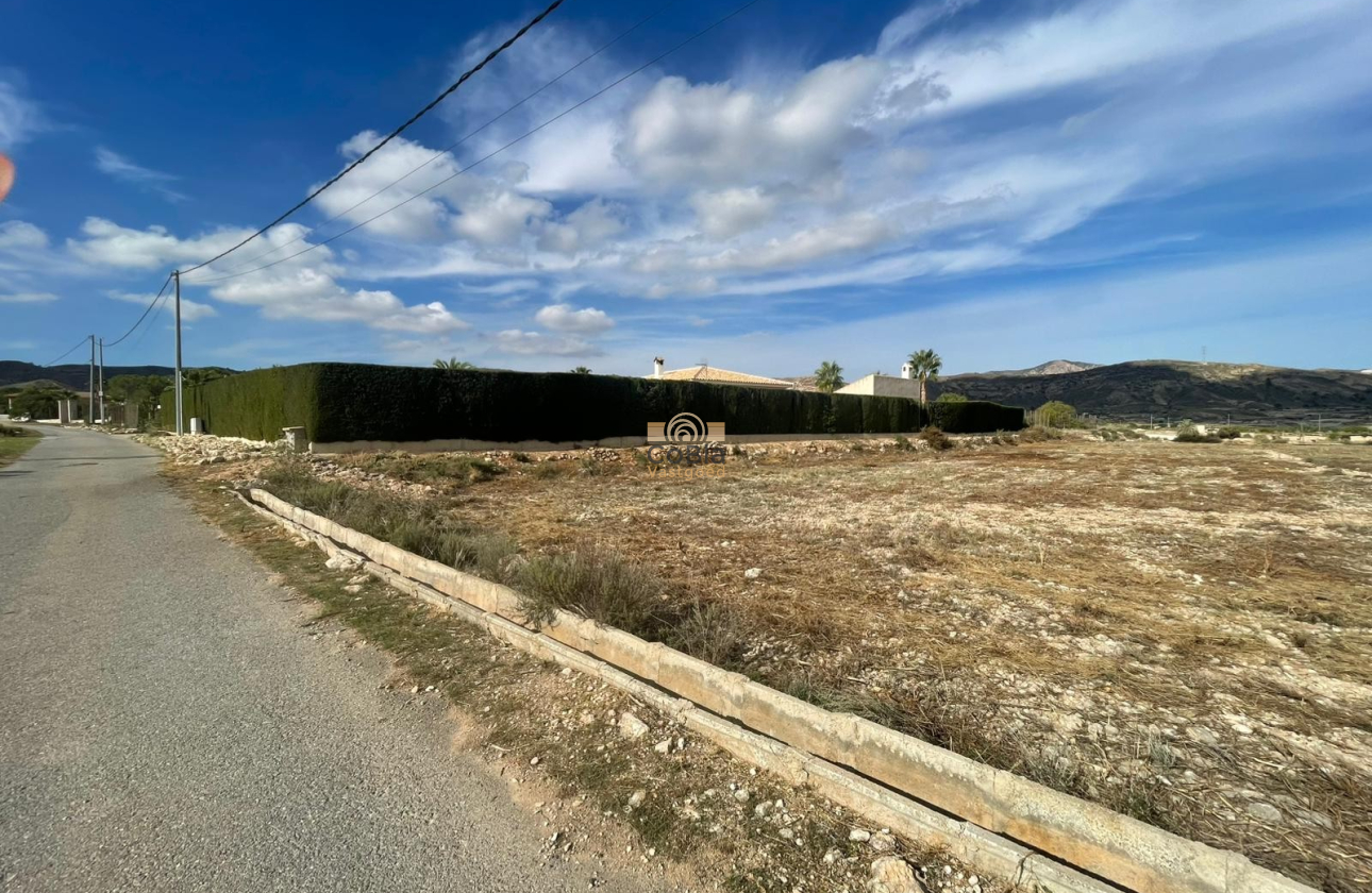 Resale - Finca / Country Property - Abanilla