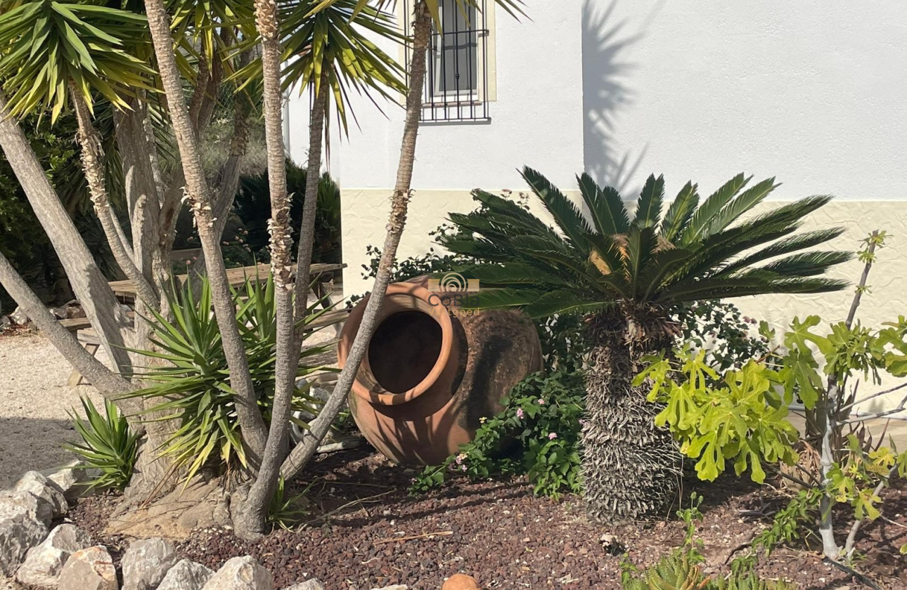 Resale - Finca / Country Property - Abanilla