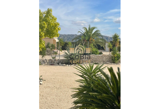 Resale - Finca / Country Property - Abanilla