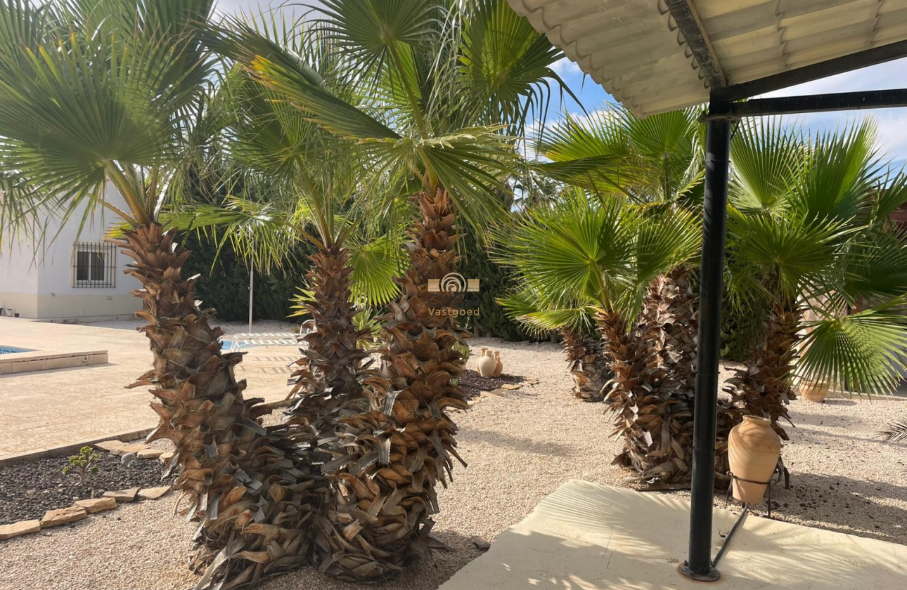 Resale - Finca / Country Property - Abanilla