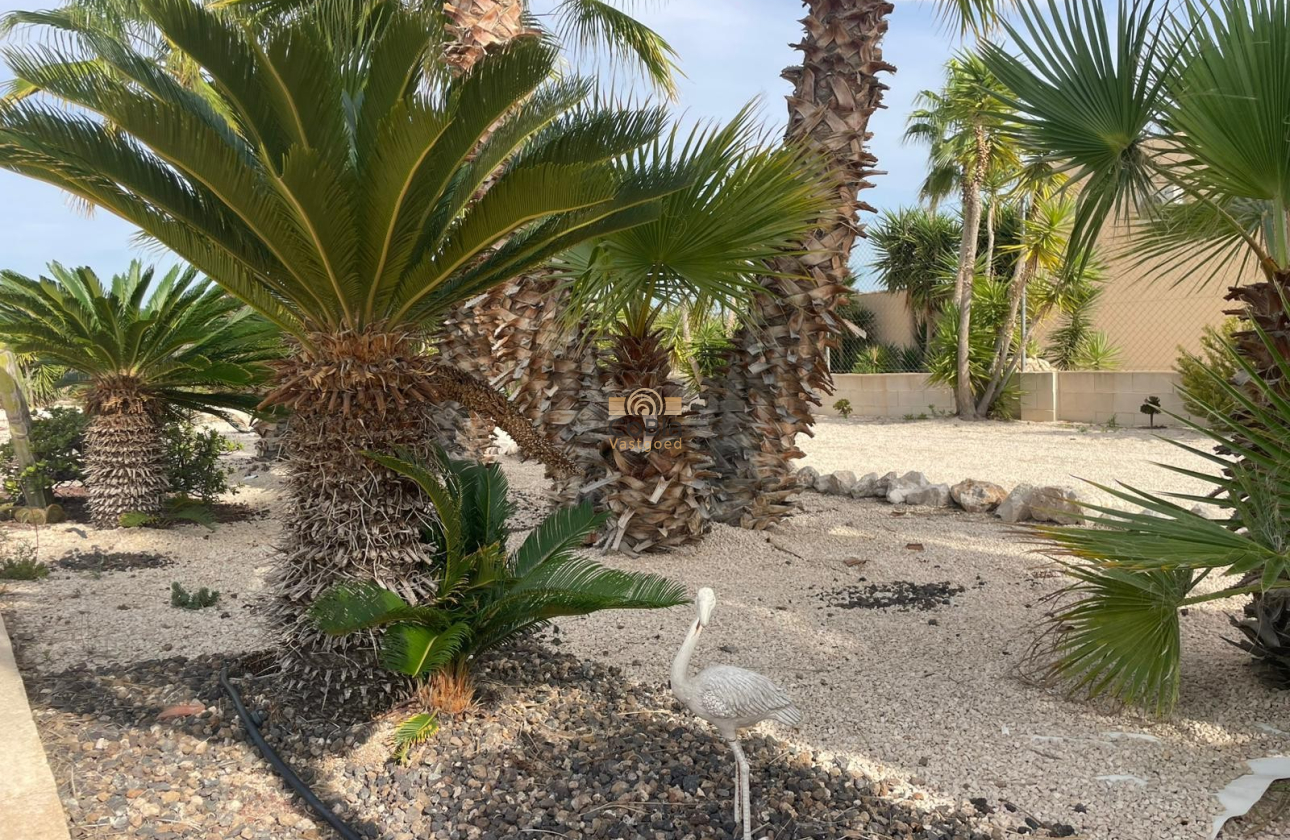 Resale - Finca / Country Property - Abanilla