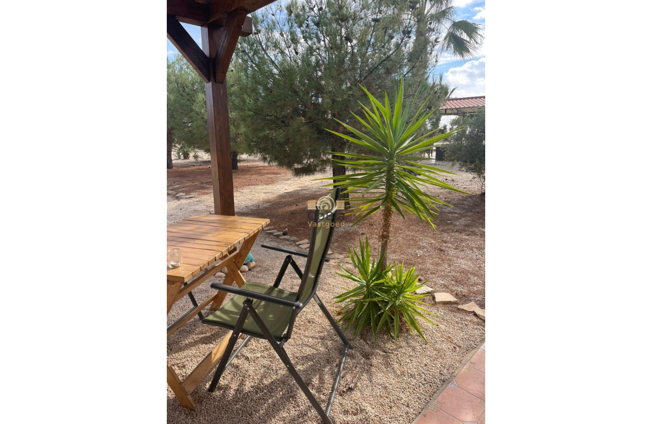 Resale - Finca / Country Property - Abanilla