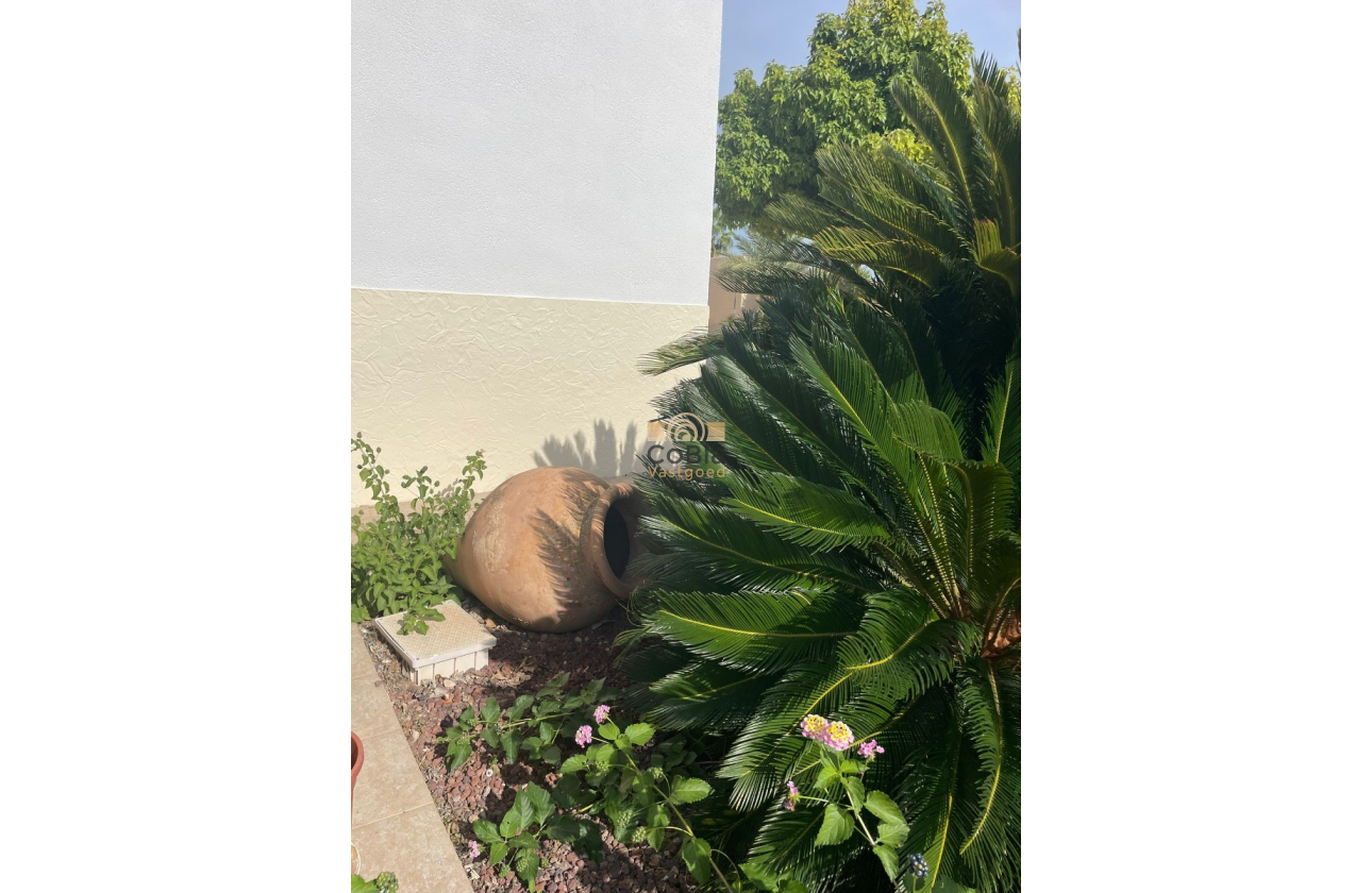 Resale - Finca / Country Property - Abanilla