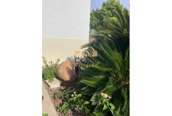 Resale - Finca / Country Property - Abanilla