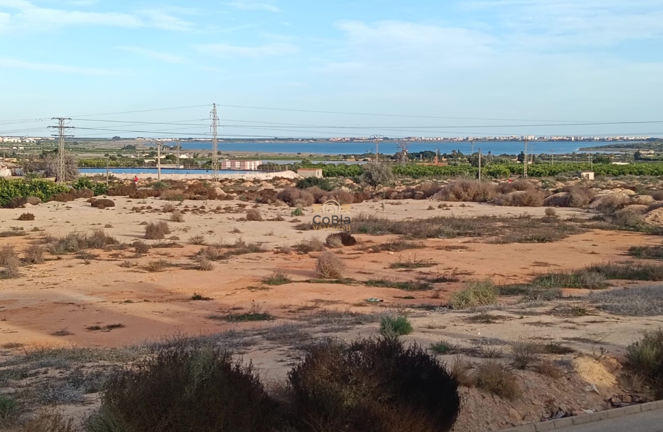 Wiederverkauf - House - Detached Villa (4) - Los Montesinos - La Herrada