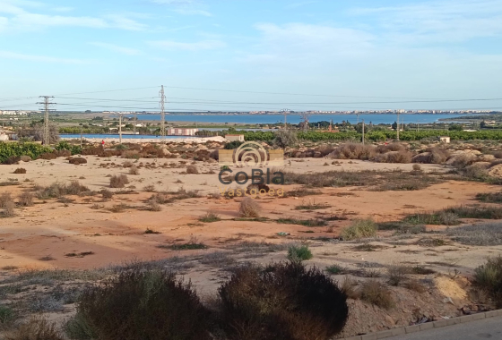 Wiederverkauf - House - Detached Villa (4) - Los Montesinos - La Herrada