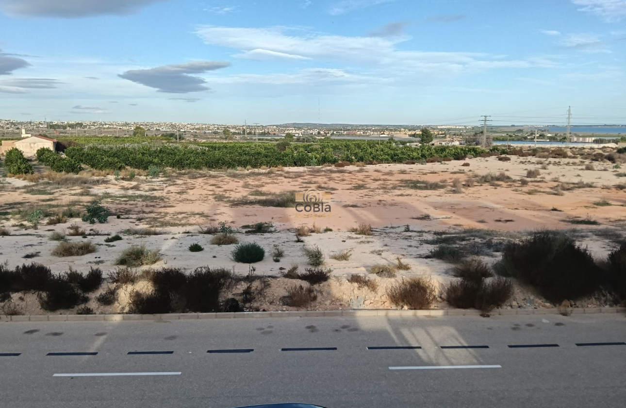 Wiederverkauf - House - Detached Villa (4) - Los Montesinos - La Herrada