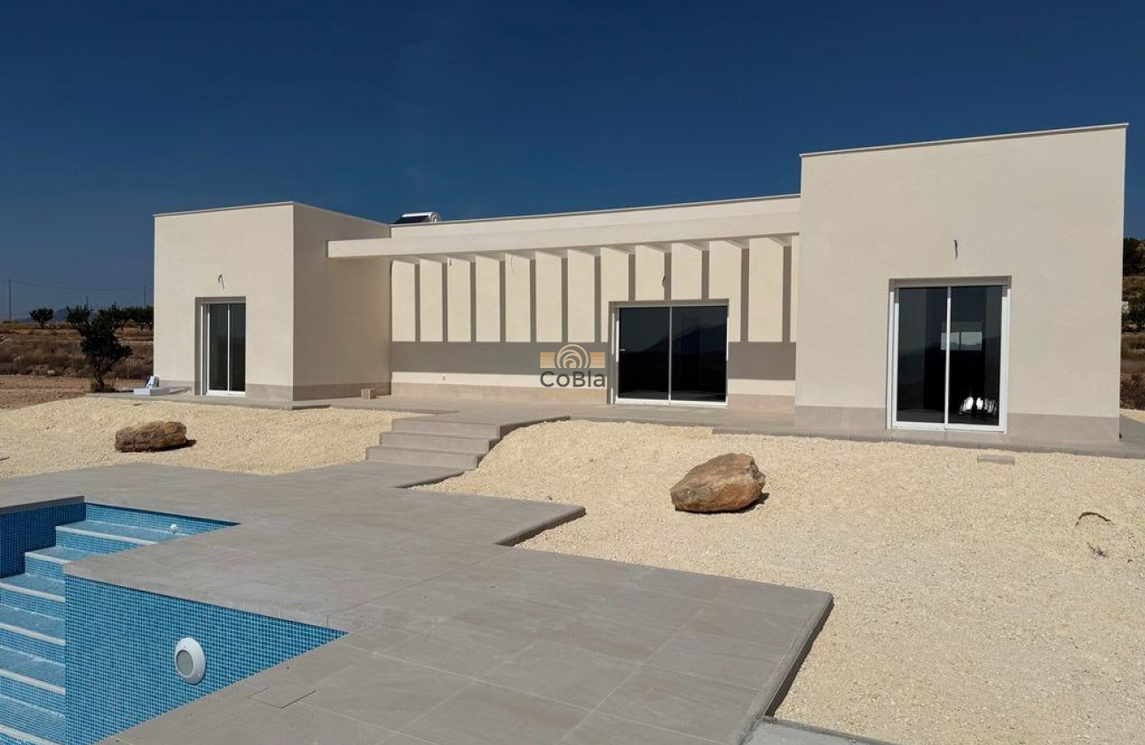 Nieuwbouw Woningen - Villa - Pinoso - Camino Del Prado