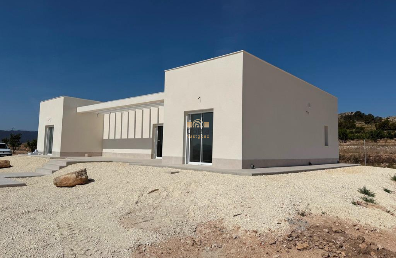 Nieuwbouw Woningen - Villa - Pinoso - Camino Del Prado