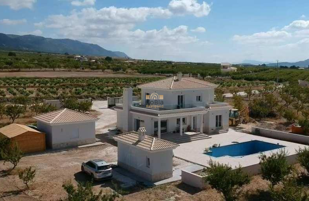 Nieuwbouw Woningen - Villa - Pinoso - Camino Del Prado