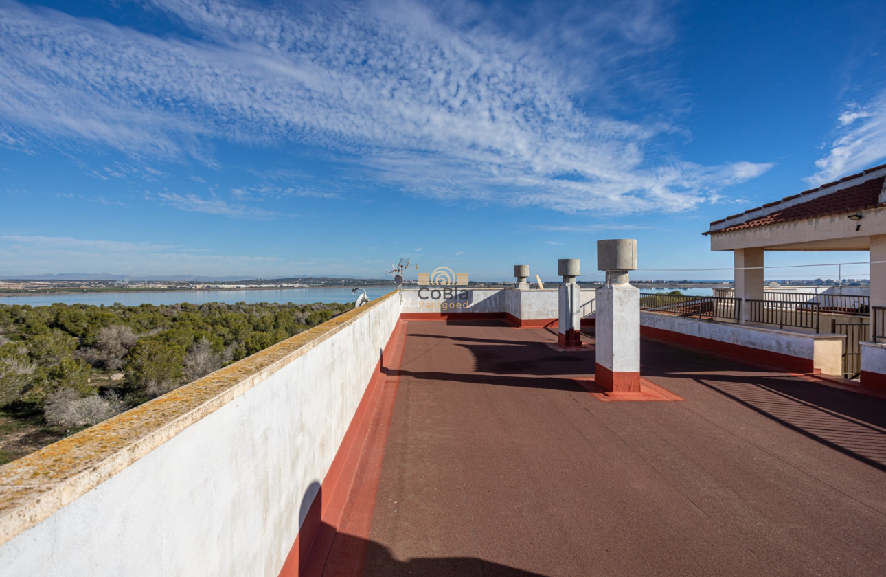 Herverkoop - Apartment flat - Torrevieja - La Siesta