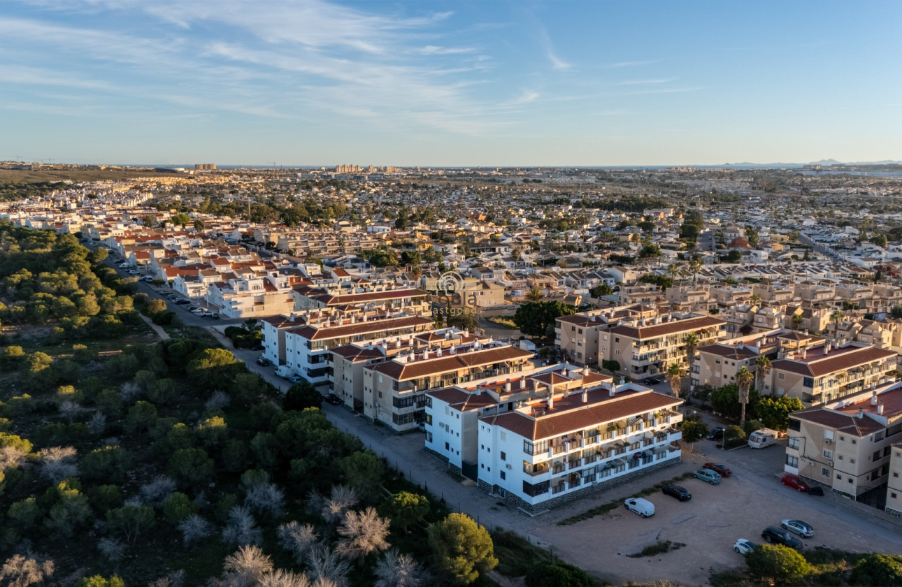 Herverkoop - Apartment flat - Torrevieja - La Siesta