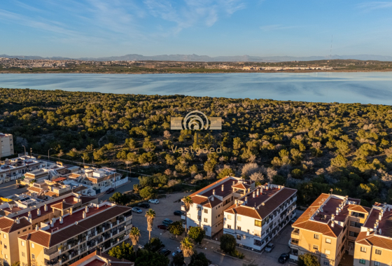 Herverkoop - Apartment flat - Torrevieja - La Siesta