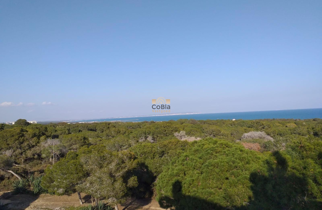 Nieuwbouw Woningen - Appartement - Guardamar del Segura - Pueblo