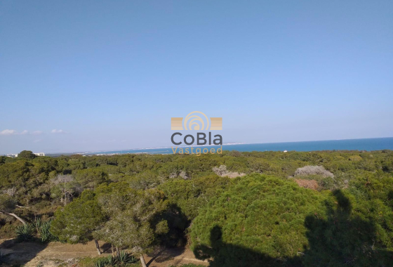 Nieuwbouw Woningen - Appartement - Guardamar del Segura - Pueblo