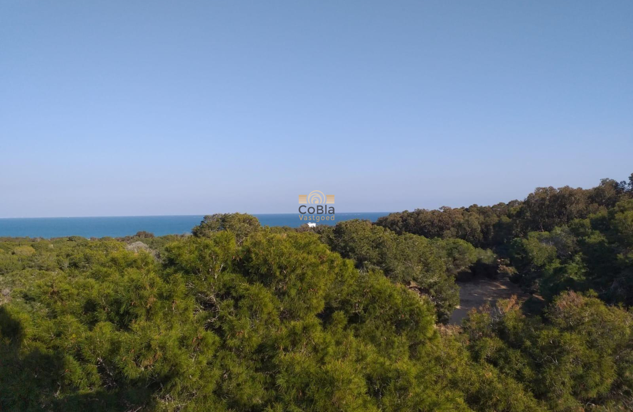 Nieuwbouw Woningen - Appartement - Guardamar del Segura - Pueblo