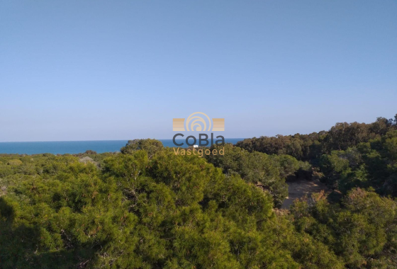 Nieuwbouw Woningen - Appartement - Guardamar del Segura - Pueblo