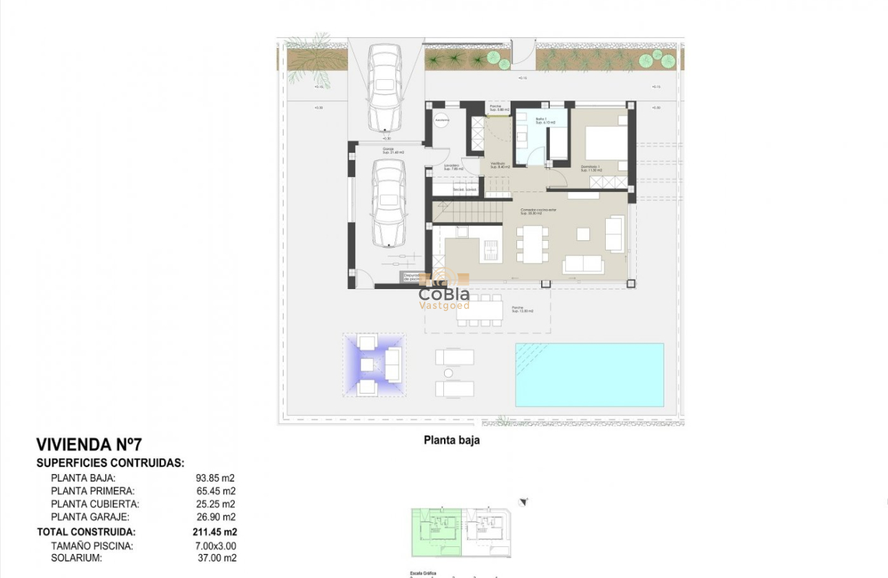 Nieuwbouw Woningen - Villa - Pilar de la Horadada - Las Higuericas