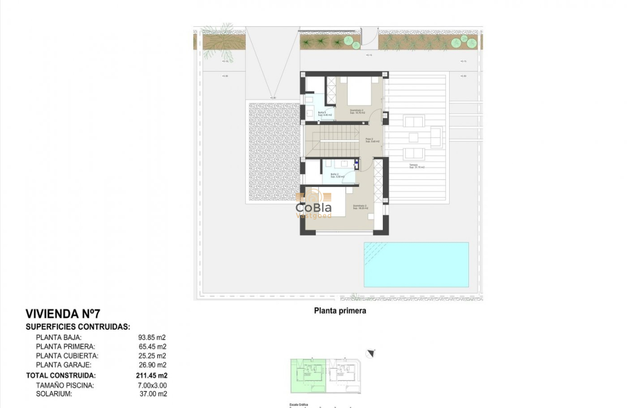 Nieuwbouw Woningen - Villa - Pilar de la Horadada - Las Higuericas