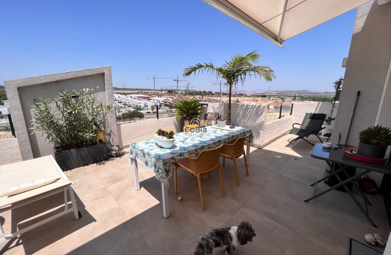 Herverkoop - Apartment flat - San Miguel de Salinas - San Miguel Salinas